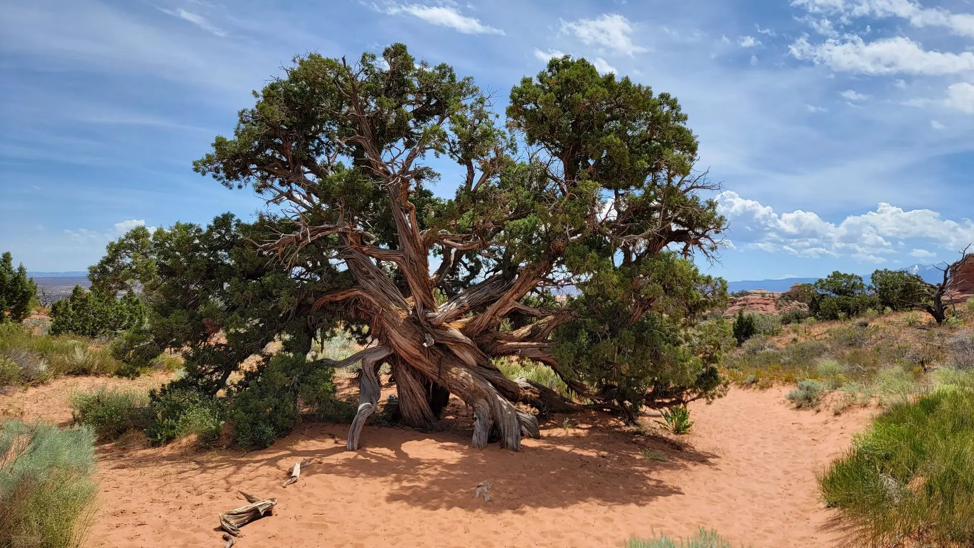 business strategy foundation for small business success